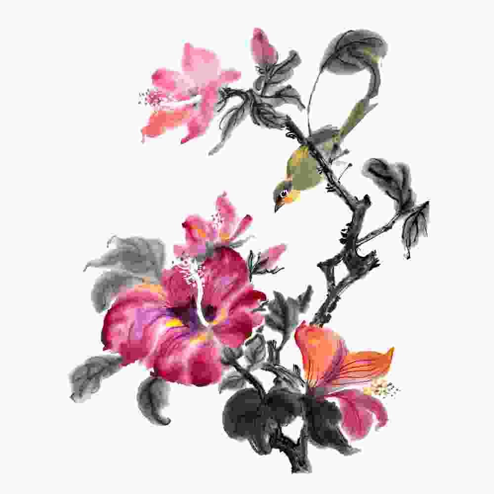 Persil Micro - Imagem 7